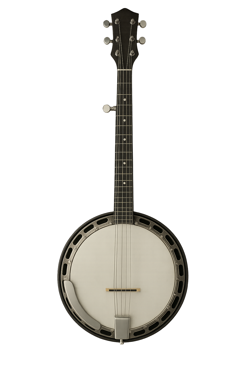 5-string banjo